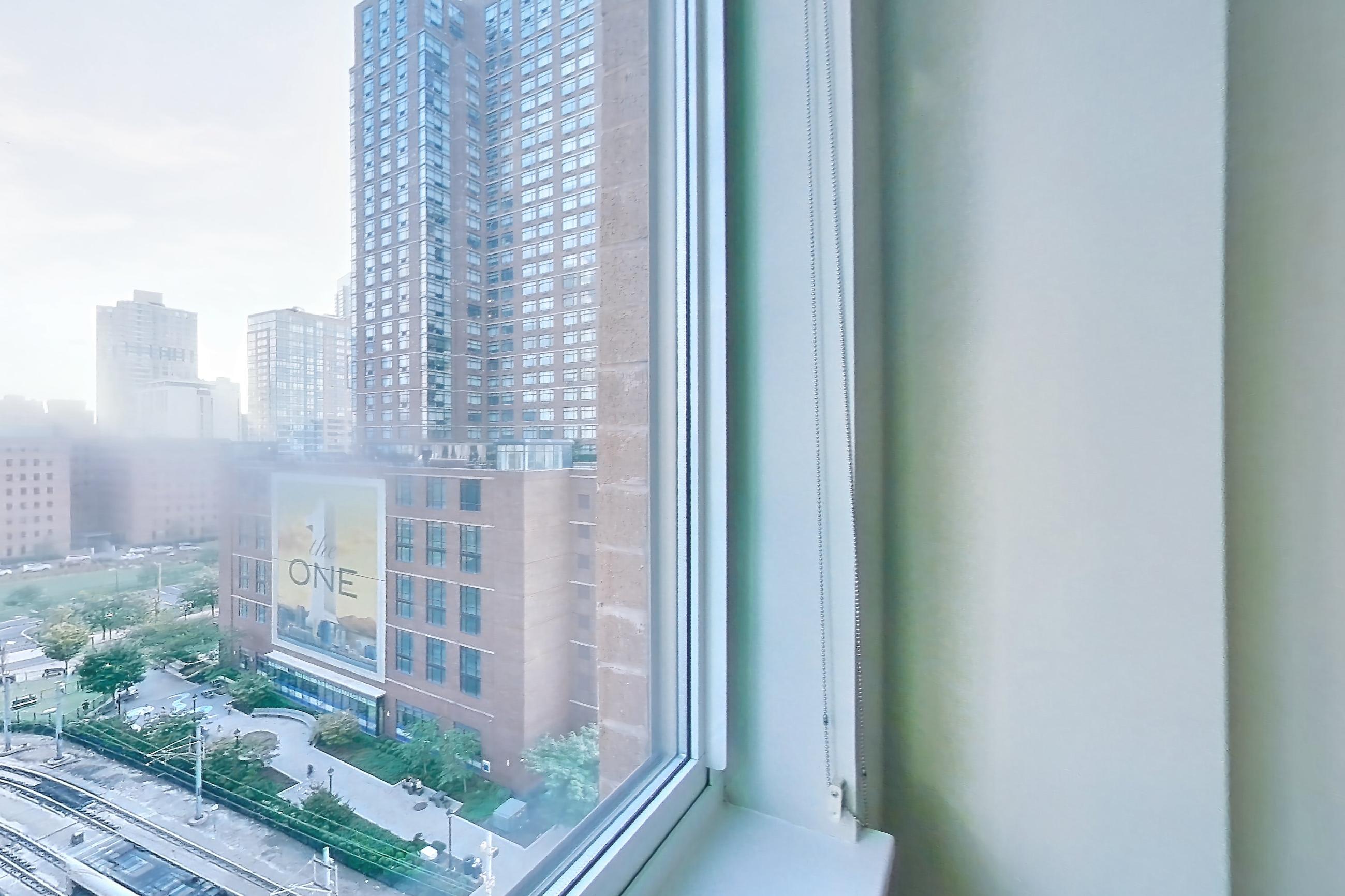 LIVING ROOM WINDOW