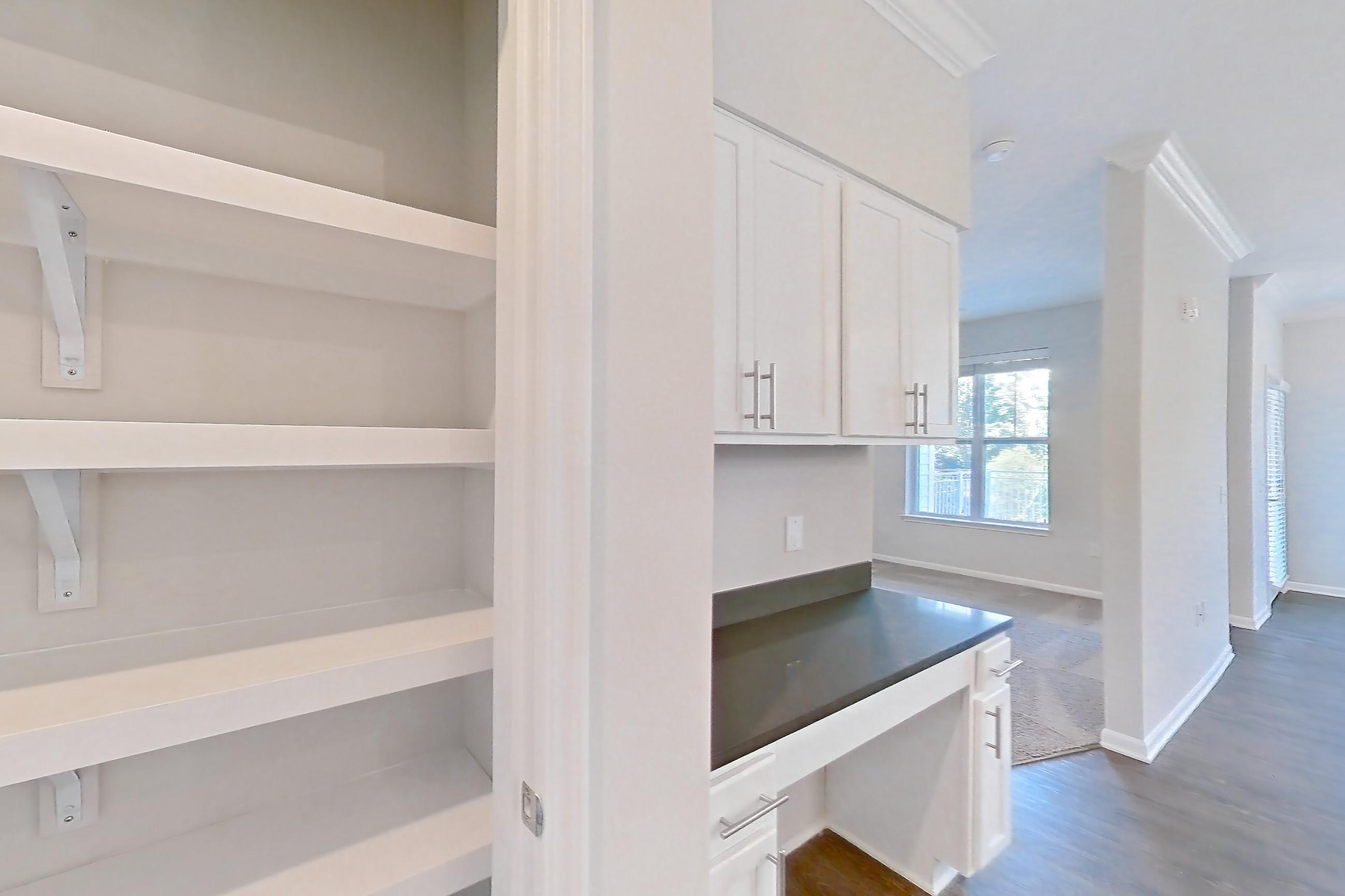KITCHEN PANTRY (representative of this floor plan)