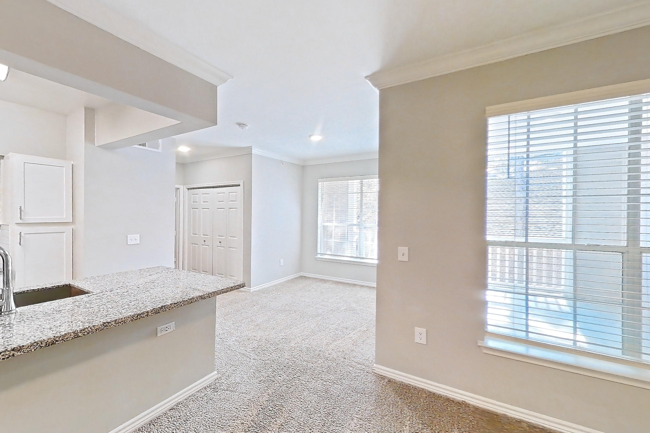 Living room with light carpet and light stone countertops, Apartment 0529 at Reserve at Kingwood