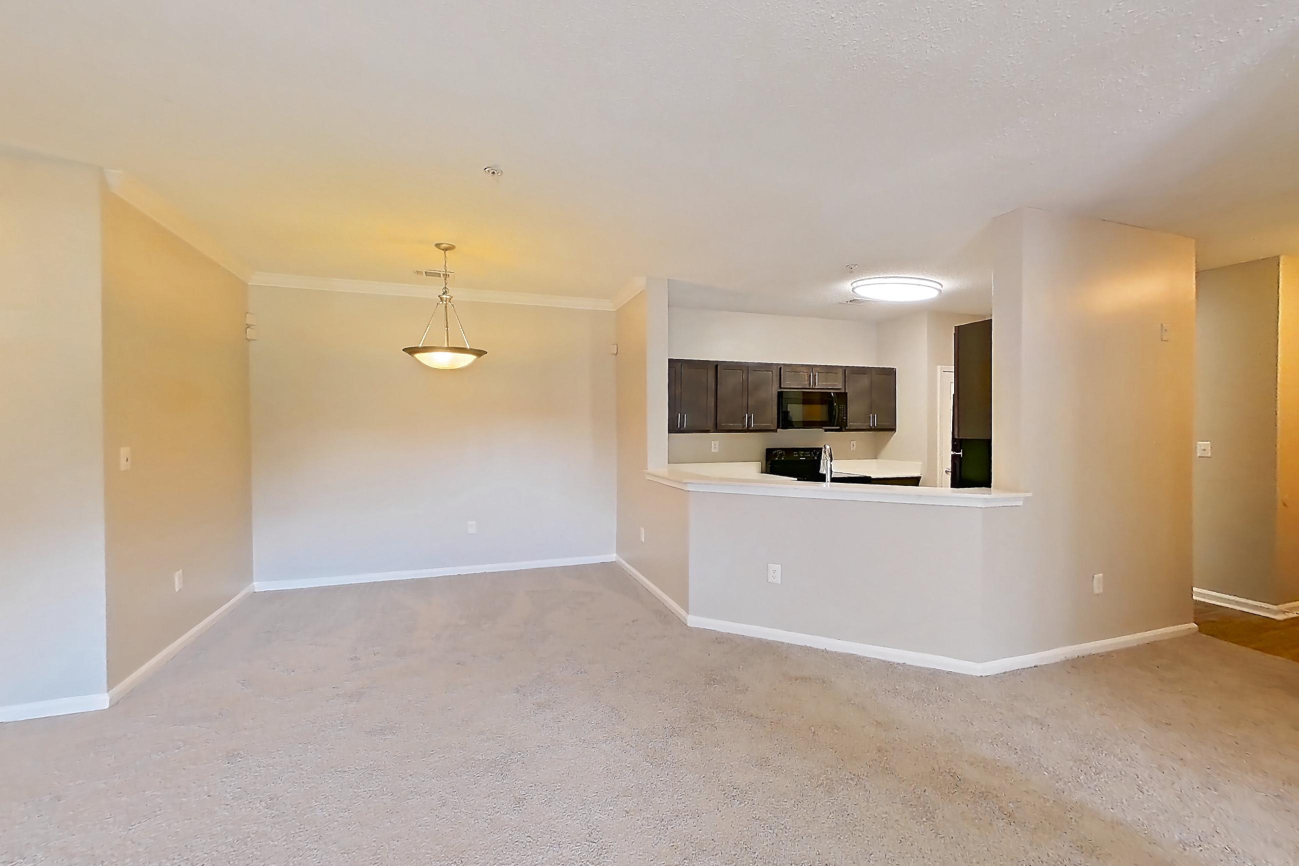 Living room with light carpet, Apartment 211 at Walden Landing